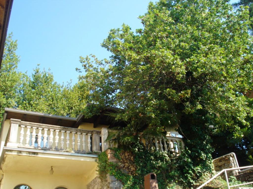 Apartments Villa Atta Опатія Номер фото
